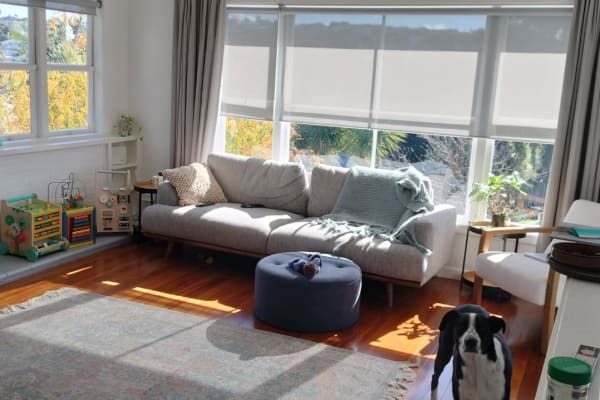 House sit in Torbay, New Zealand