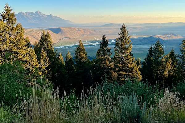 House sit in Jackson, WY, US