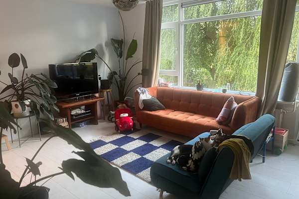 House sit in Amsterdam, Netherlands