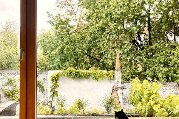 House sit in Gent, Belgium