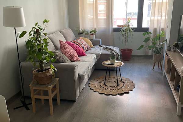 House sit in Valencia, Spain