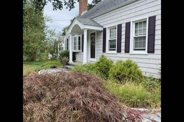 House sit in New Haven, CT, US