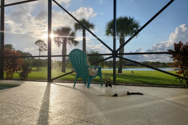 House sit in Melbourne, FL, US