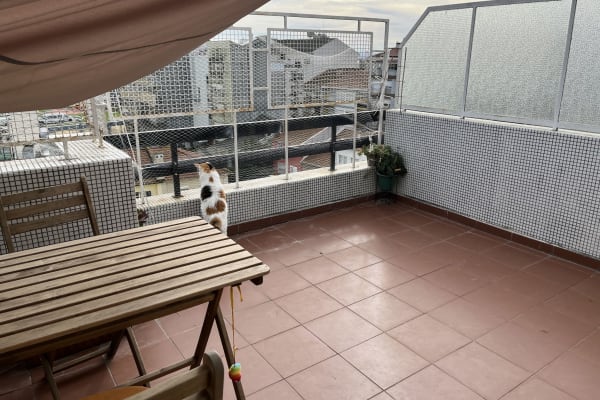 House sit in Porto, Portugal
