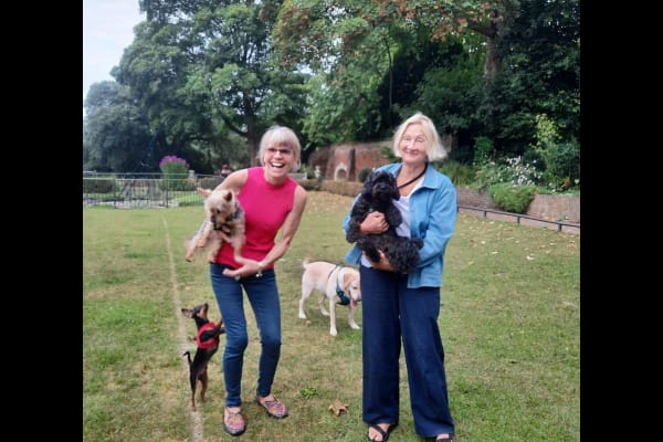 House sit in Highgate, United Kingdom