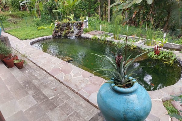 House sit in Ubud, Indonesia