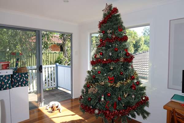 House sit in Brisbane, QLD, Australia