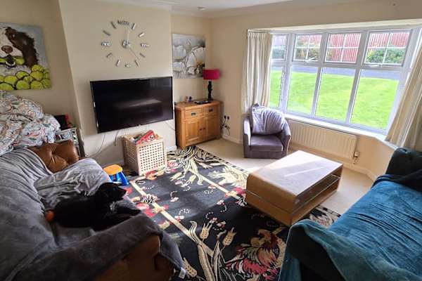 House sit in Edinburgh, United Kingdom