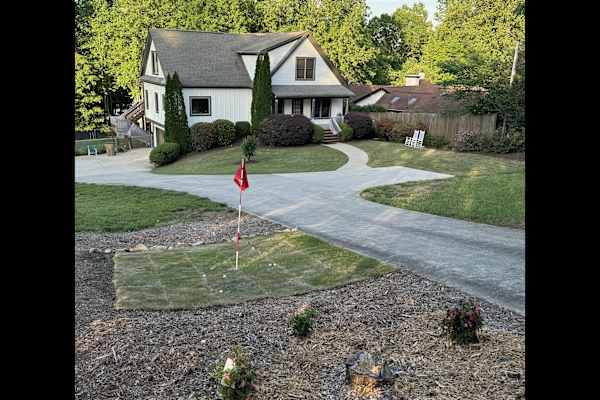 House sit in Gainesville, GA, US