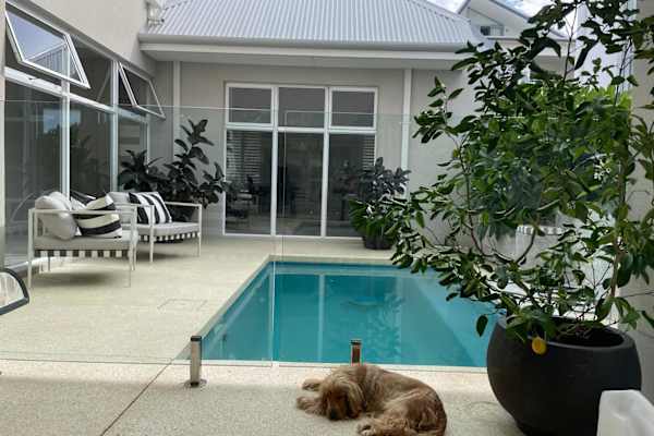 House sit in Mosman Park, WA, Australia