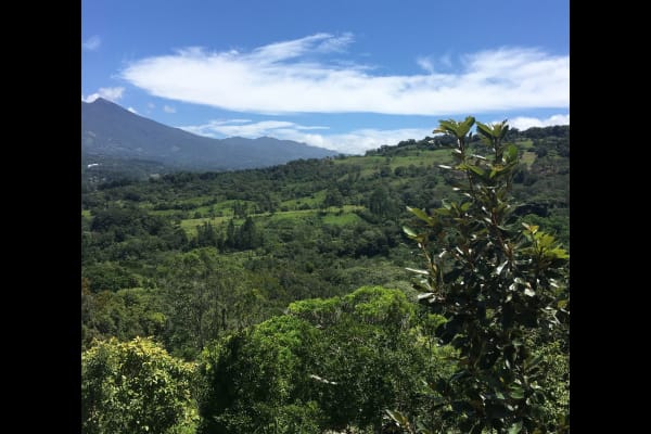 House sit in Boquete, Panama