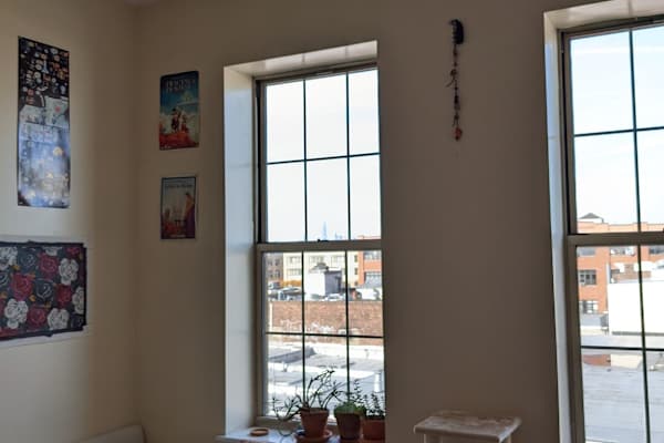 House sit in Brooklyn, NY, US