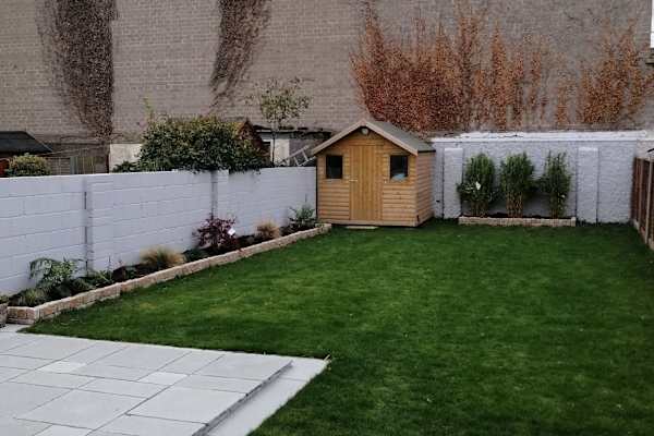 House sit in Dublin, Ireland