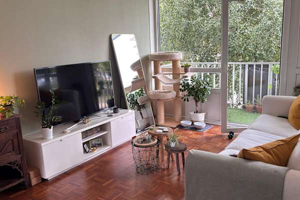 House sit in Maastricht, Netherlands