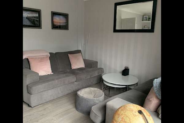 House sit in Chelmsford, United Kingdom