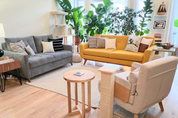 House sit in New York City, NY, US