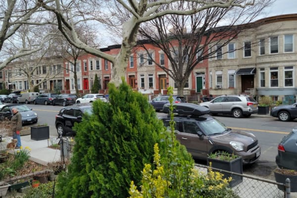 House sit in Brooklyn, NY, US