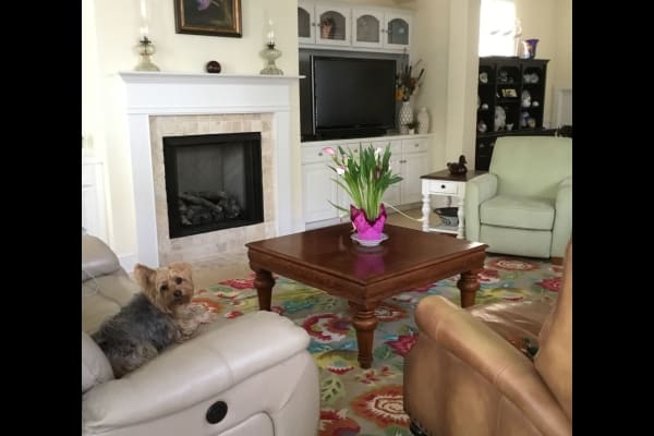 House sit in Fernandina Beach, FL, US