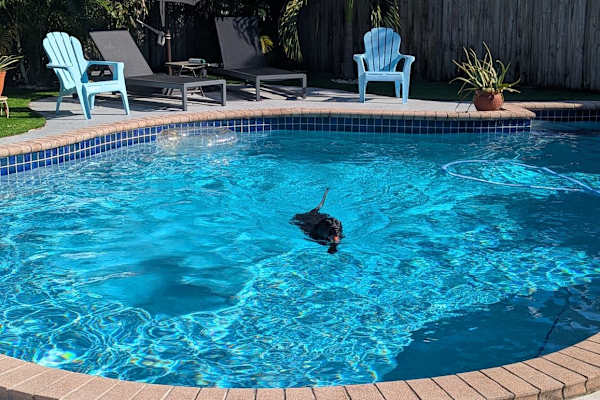 House sit in Fort Lauderdale, FL, US