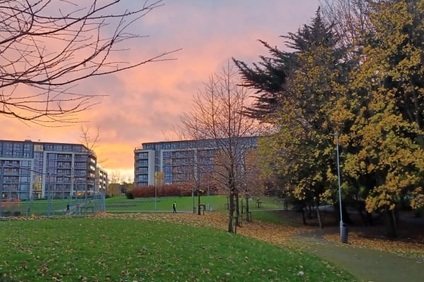 House sit in Dún Laoghaire, Ireland