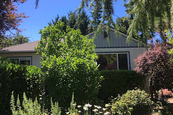 House sit in Victoria, BC, Canada