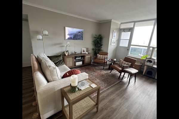 House sit in Toronto, ON, Canada