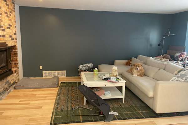 House sit in Golden, CO, US