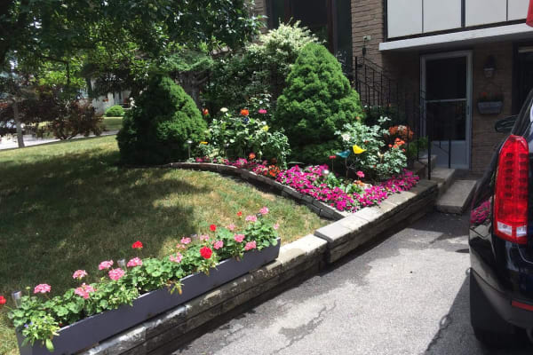 House sit in St. Catharines, ON, Canada