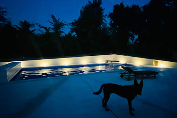 House sit in Brossac, France