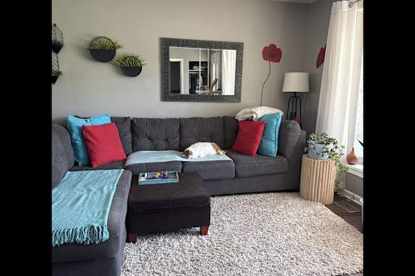 House sit in Ottawa, ON, Canada