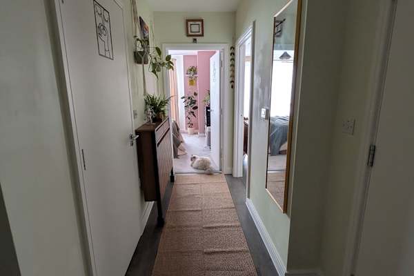 House sit in Watford, United Kingdom