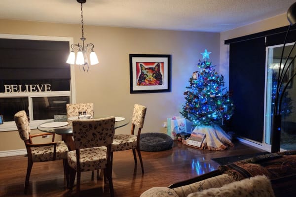 House sit in Barrie, ON, Canada