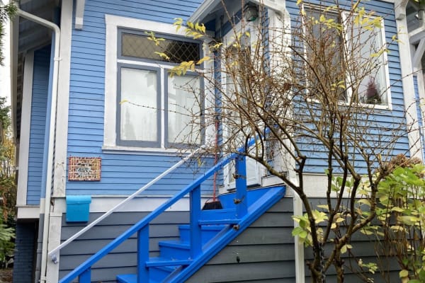 House sit in Vancouver, BC, Canada