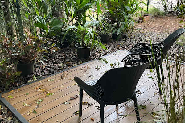 House sit in Jacó, Costa Rica