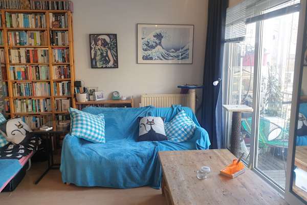 House sit in Amsterdam, Netherlands