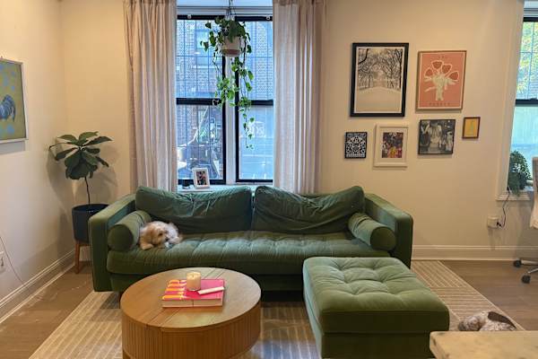 House sit in Brooklyn, NY, US