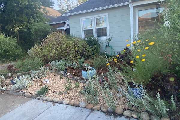 House sit in Sebastopol, CA, US