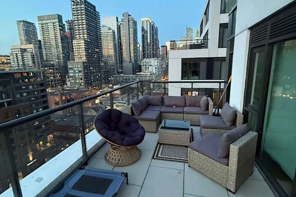 House sit in Toronto, ON, Canada