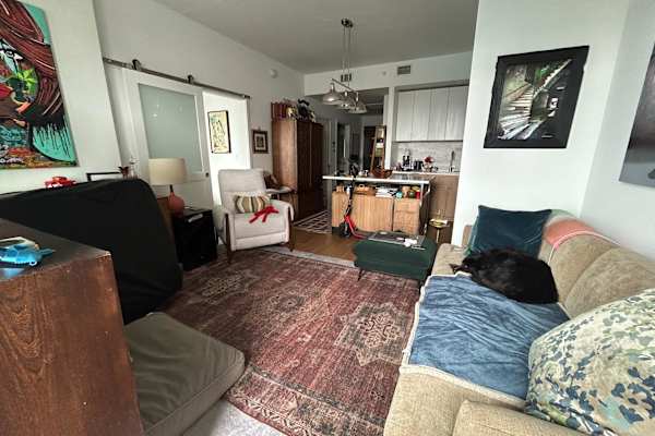 House sit in Washington, D.C., Washington, D.C., US