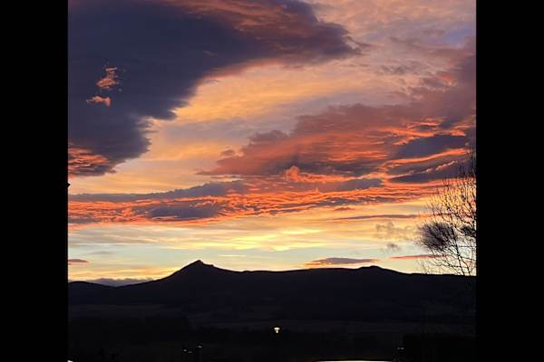 House sit in Aberdeen, United Kingdom