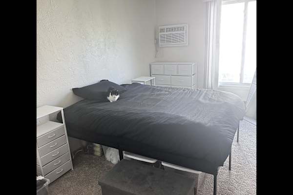 House sit in Minneapolis, MN, US