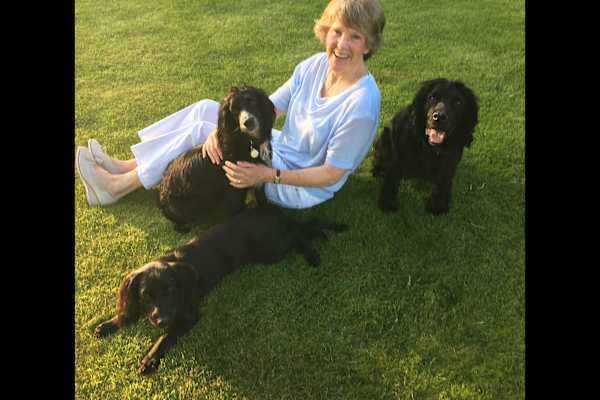 House sit in Hungerford, United Kingdom