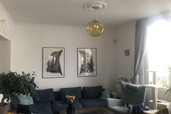 House sit in Ixelles, Belgium