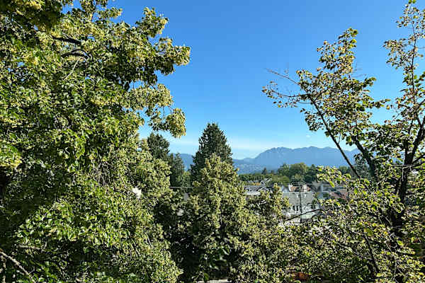 House sit in Kitsilano, BC, Canada