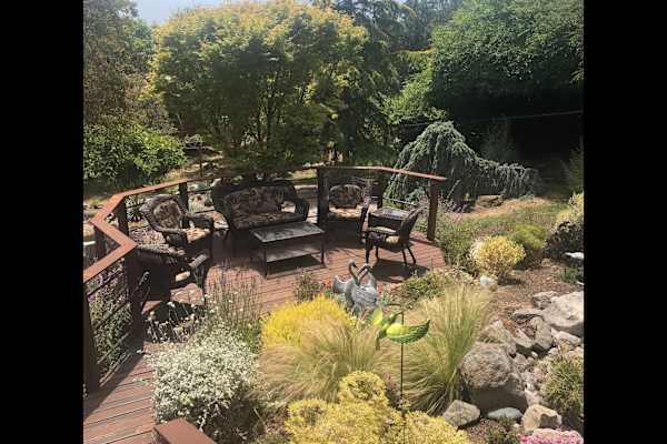 House sit in El Cerrito, CA, US