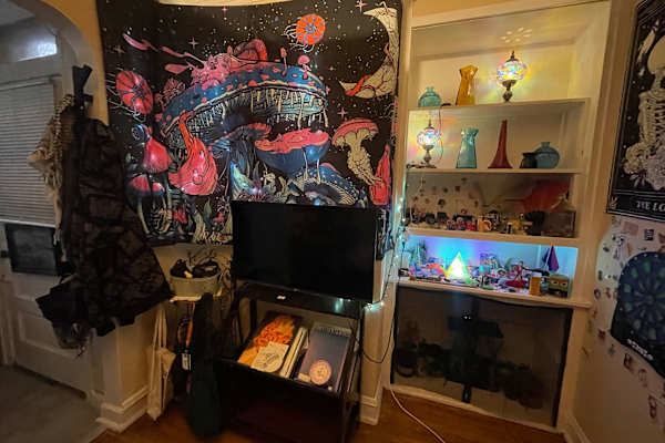 House sit in Chicago, IL, US