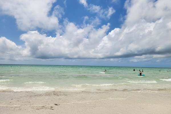 House sit in Englewood, FL, US