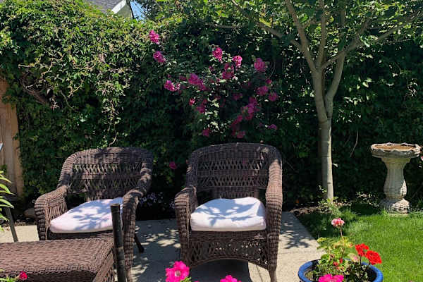 House sit in White Rock, BC, Canada