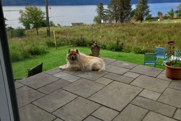 House sit in Lochcarron, United Kingdom