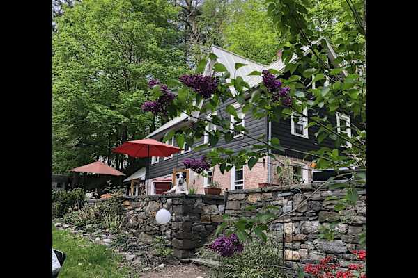 House sit in Kingston, NY, US